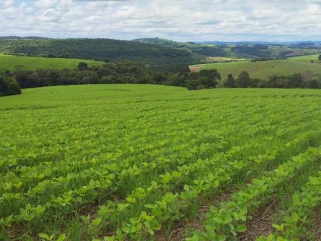 Sítio e chácara venda em Região Imediata de Itapeva, Itararé
