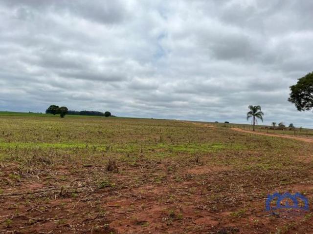 Sítio e chácara venda em Santa Cruz do Rio Pardo