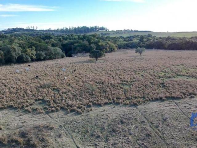Sítio e chácara venda em Vila Nova Sorocaba, Sorocaba