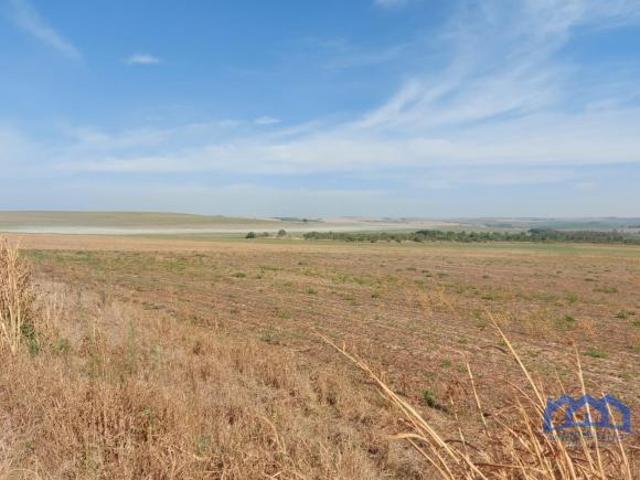 Sítio e chácara venda em Região Geográfica Imediata de Luziânia, Região Integrada de Desenvolvimento do Distrito Federal e Entorno