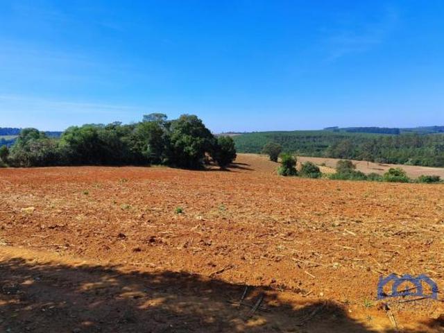 Sítio e chácara venda em Região Imediata de Itapetininga, Região Metropolitana de Sorocaba