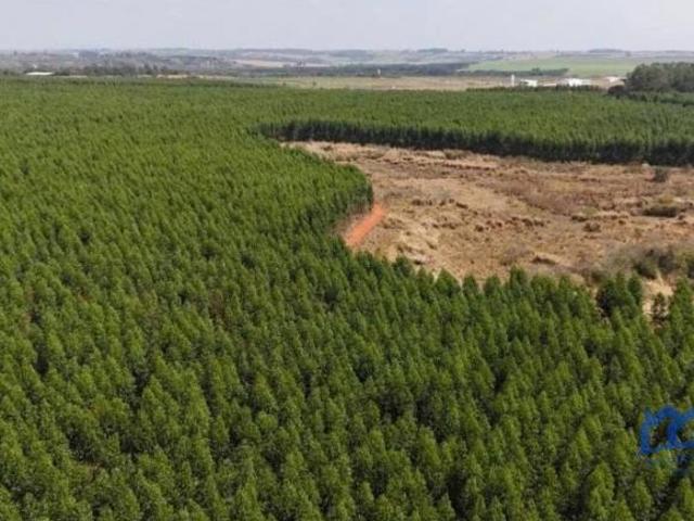 Sítio e chácara venda em Região Imediata de Sorocaba, Região Metropolitana de Sorocaba