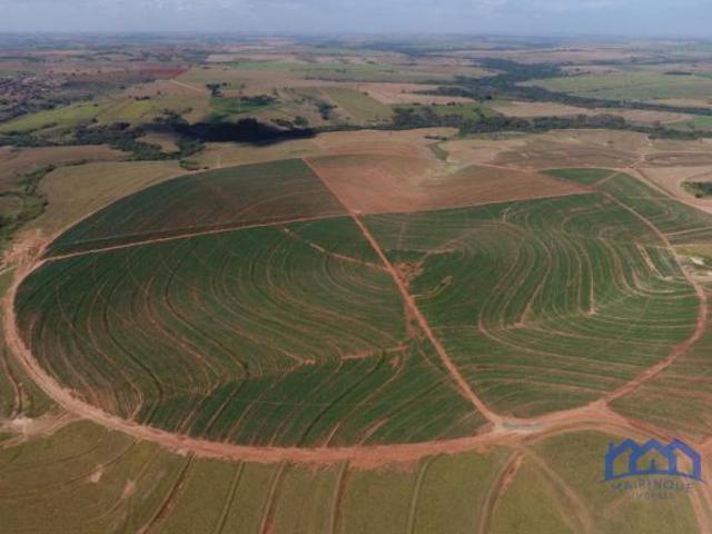 Sítio e chácara venda em Região Imediata de Birigui-Penápolis, Penápolis