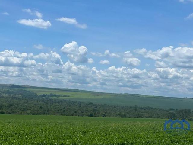 Sítio e chácara venda em Região Geográfica Imediata de Luziânia, Região Integrada de Desenvolvimento do Distrito Federal e Entorno
