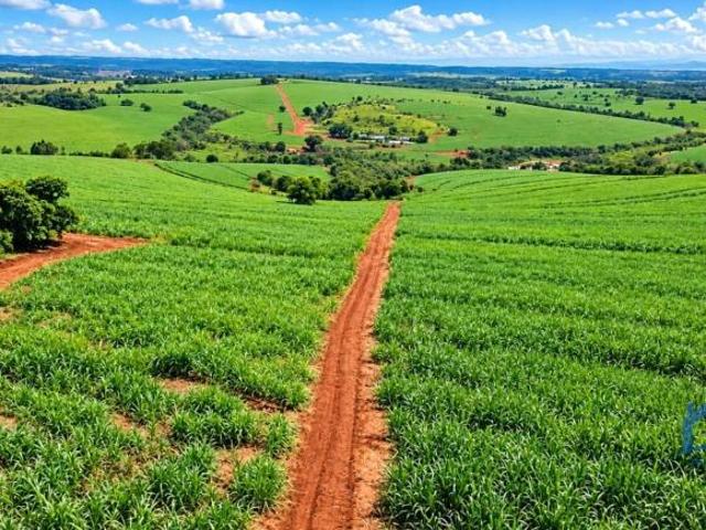 Sítio e chácara venda em Cidade Nova, Franca