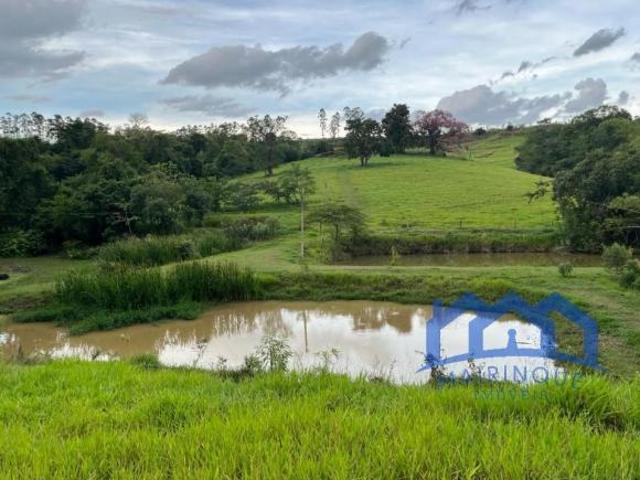 Sítio e chácara venda em Região Imediata de Avaré, Paranapanema