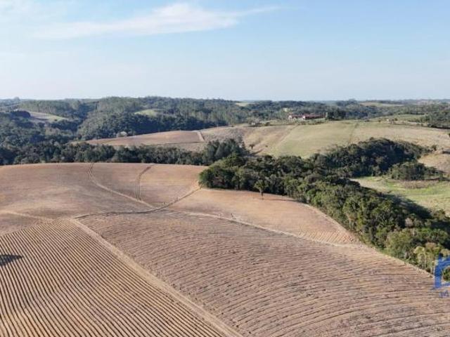 Sítio e chácara venda em Região Imediata de Itapetininga, Região Metropolitana de Sorocaba