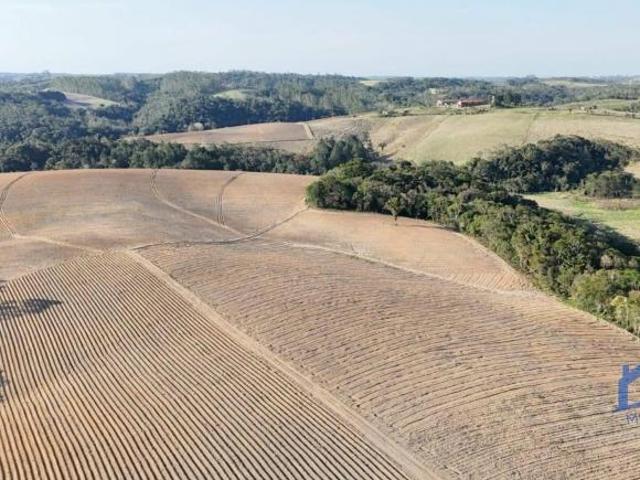 Sítio e chácara venda em Residencial Alvorada, São Miguel Arcanjo