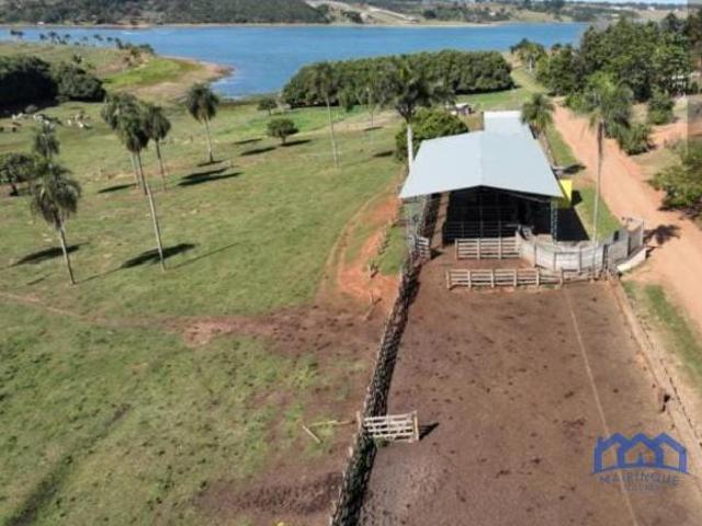 Sítio e chácara venda em Região Imediata de Avaré, Avaré