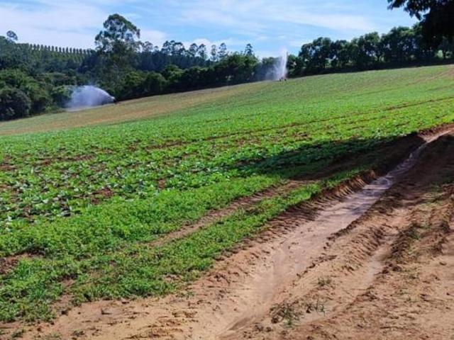 Sítio e chácara venda em Região Imediata de Itapetininga, Região Metropolitana de Sorocaba