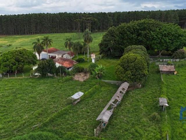 Sítio e chácara venda em Região Imediata de Itapeva, Capão Bonito