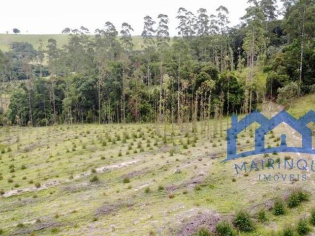 Sítio e chácara venda em Região Imediata de Avaré, Paranapanema