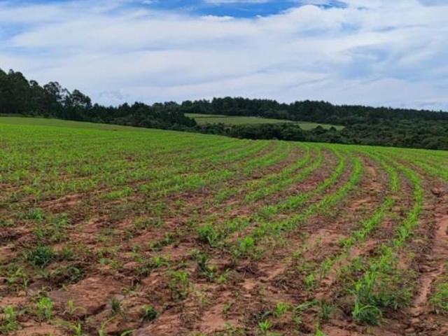 Sítio e chácara venda em Região Imediata de Itapetininga, Região Metropolitana de Sorocaba