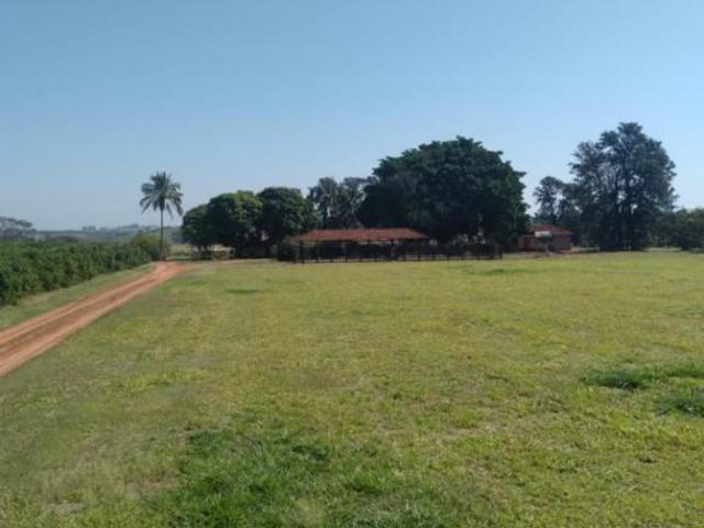 Sítio e chácara venda em Região Imediata de Marília, Marília