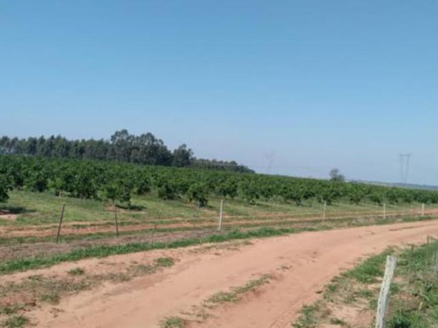 Sítio e chácara venda em Região Imediata de Marília, Marília