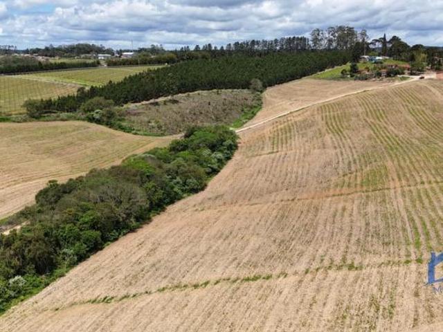 Sítio e chácara venda em Região Imediata de Itapetininga, Região Metropolitana de Sorocaba