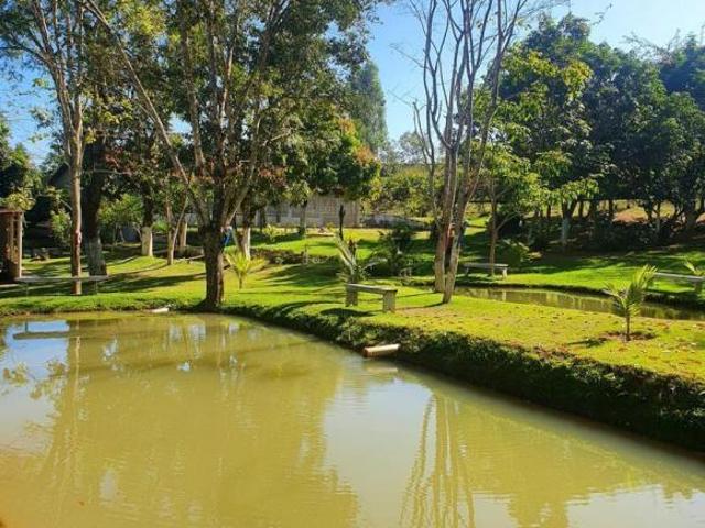 Sítio e chácara venda em Região Geográfica Imediata do Distrito Federal, Região Integrada de Desenvolvimento do Distrito Federal e Entorno