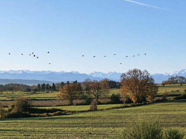Maison vente à Tarbes, Trie-sur-baïse