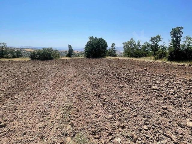 Gemerek, Sivas içerisinde satılık Arsa