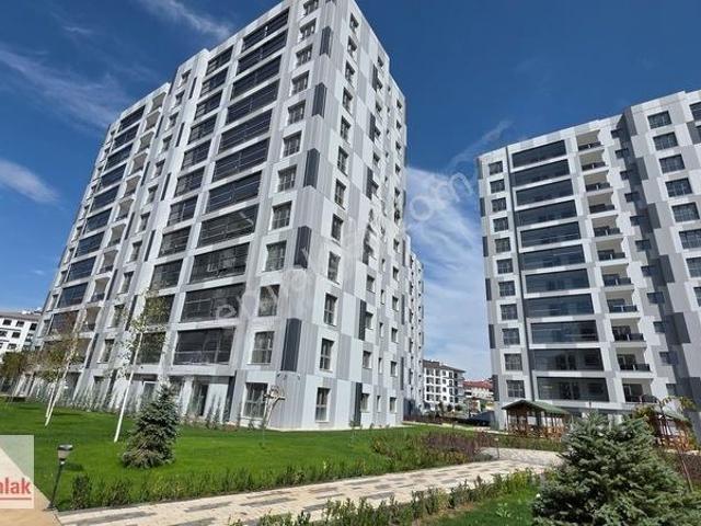Numune, Sivas Merkez içerisinde kiralık mülk