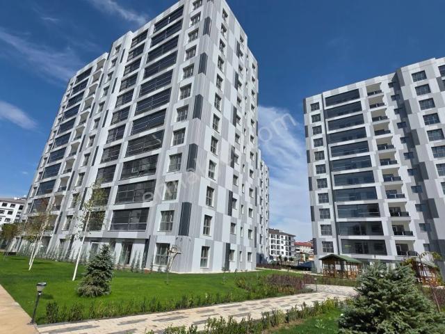 Sivas Merkez, Sivas içerisinde kiralık mülk