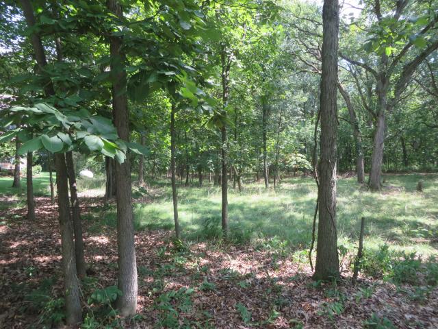 Land for sale in Momence, Illinois