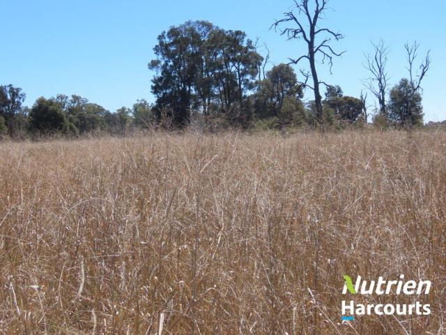 Property for sale in Chinchilla, Queensland