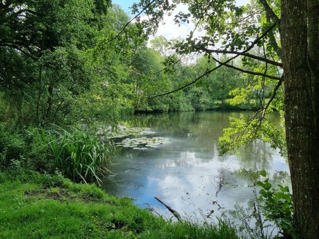 Lägenhet hyra i Trelleborg, Skåne