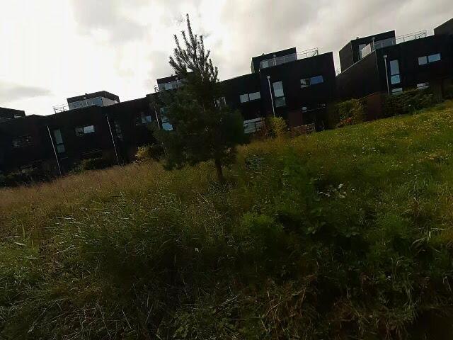 Lejlighed til leje i Vejle
