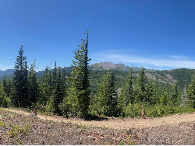 Land for sale in Washougal, Washington