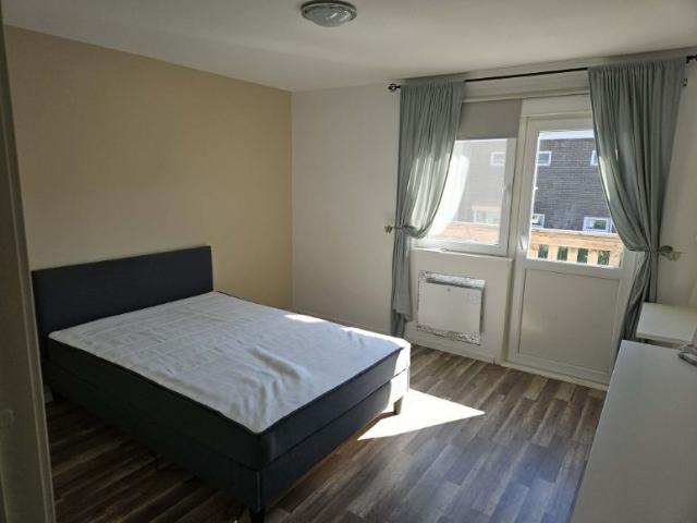 Hus hyra i Skelleftehamn, Västerbotten