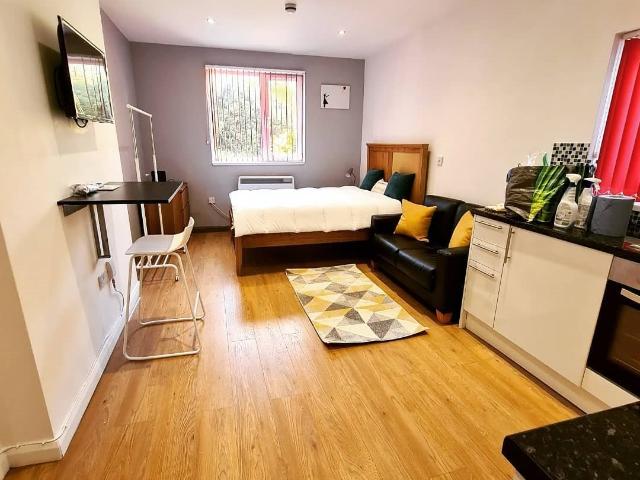 Studio for rent in Brynmill, Swansea