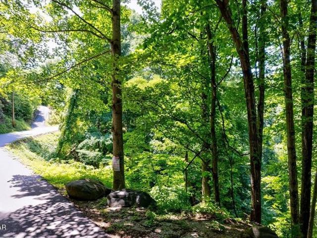 Land for sale in Tennessee