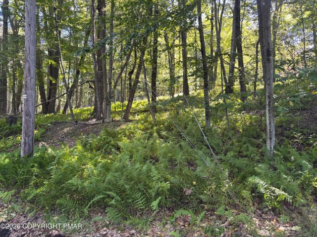 Land for sale in Tobyhanna Township, Monroe County