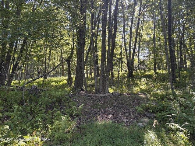 Land for sale in Pocono Lake, Tobyhanna Township