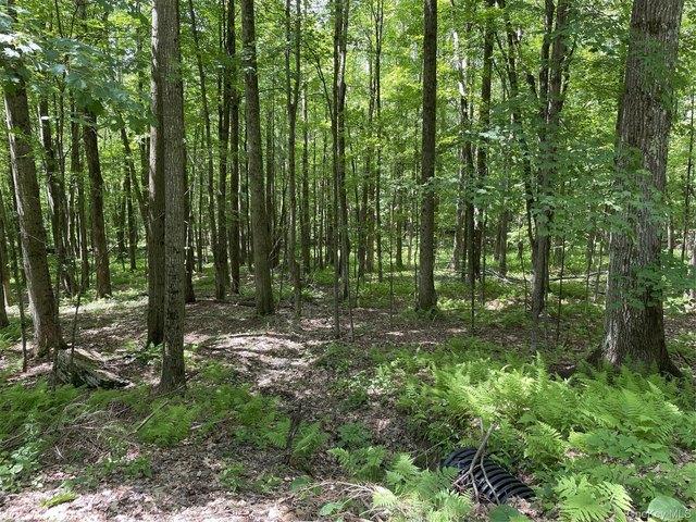 Land for sale in Downsville, Delaware County