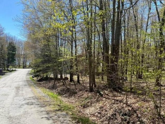 Land for sale in Pocono Lake