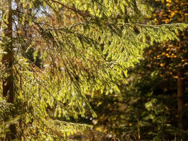 Bostad till salu i Nora, Örebro