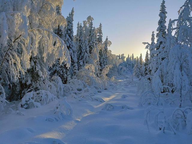 Bostad till salu i Pajala, Norrbotten