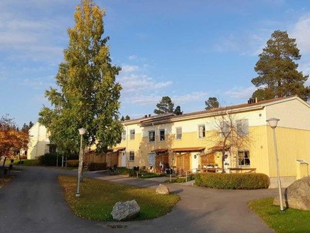 Lägenhet hyra i Östersund, Jämtland