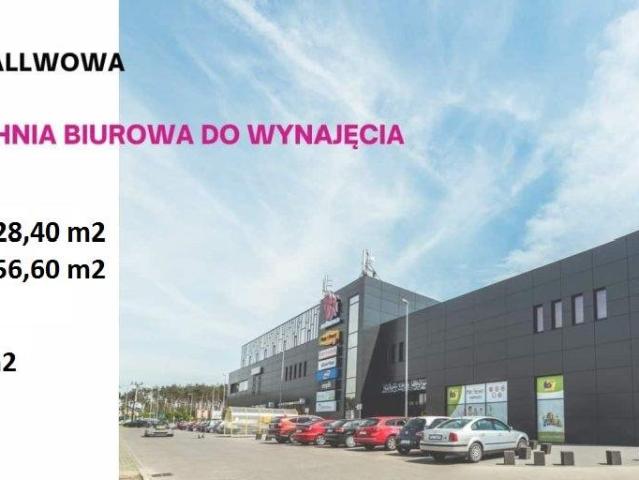Mieszkanie do wynajęcia w Skórzewo, Wielkopolskie