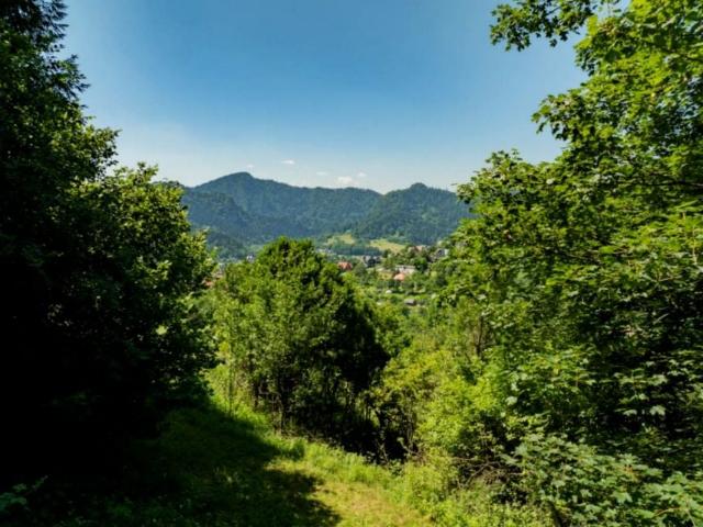 Grunt na sprzedaż w Szczawnica, Małopolskie