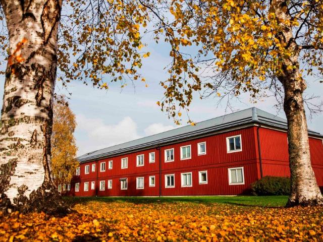 Lägenhet hyra i Skellefteå