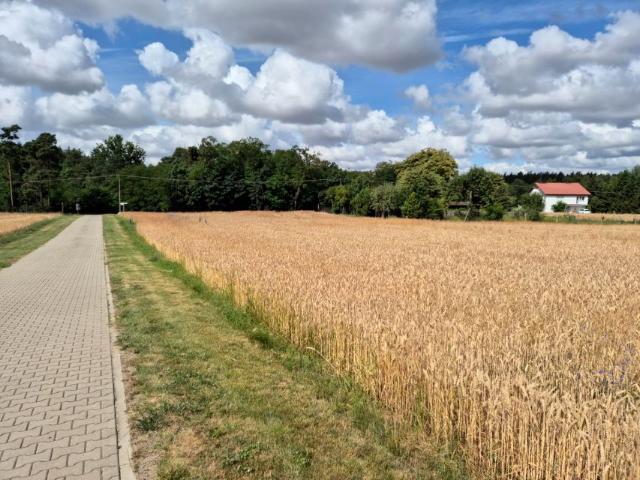 Grunt na sprzedaż w Radzyny, Wielkopolskie