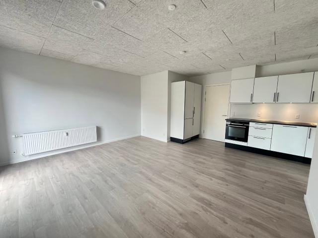 Hus til leje i Odense