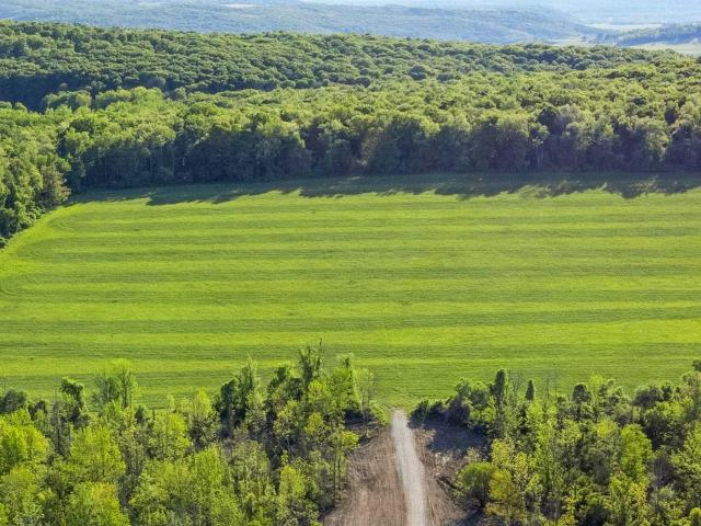Land for sale in Pine Plains, New York