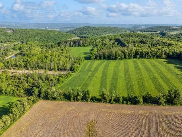 Land for sale in Pine Plains, New York
