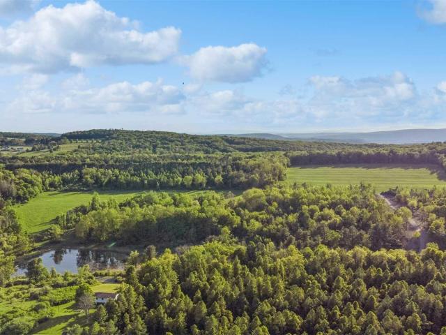 Land for sale in Pine Plains, New York