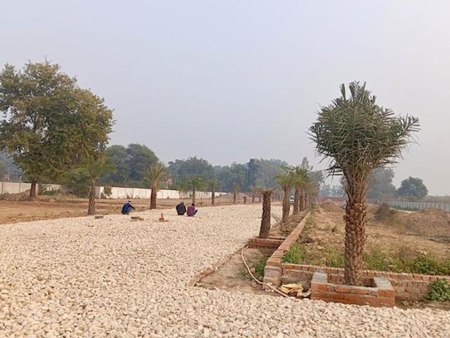Land for sale in Lakhana, Arunachal Pradesh