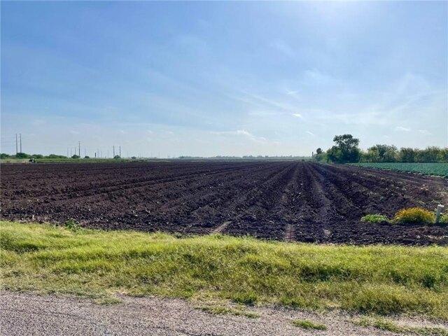 Land for sale in Progreso, Texas